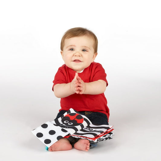 Sassy Black & White Peek a Boo Book