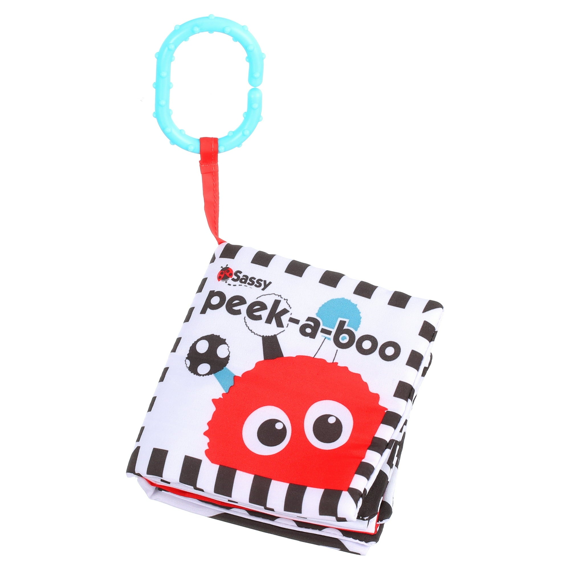 Sassy Black & White Peek a Boo Book