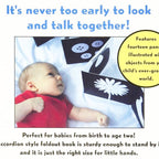 Black & White Accordion Foldout Book