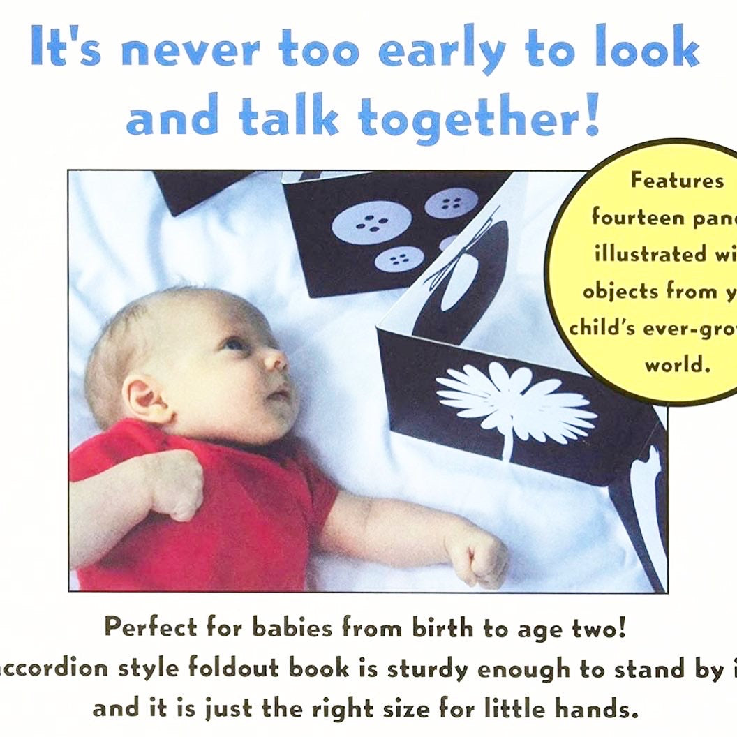 Black & White Accordion Foldout Book