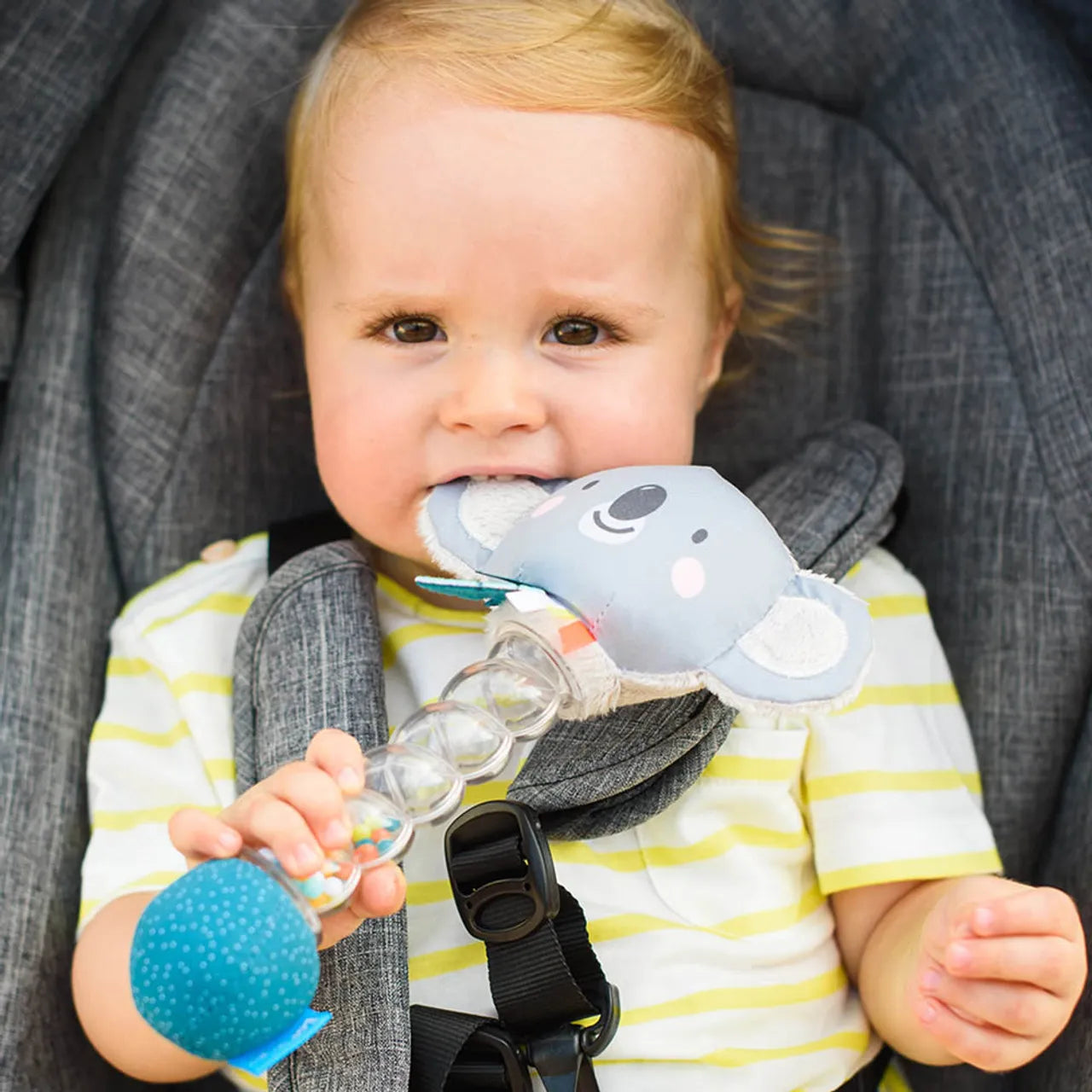 Taf Toys Koala RainStick Rattle