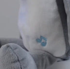 Little Learners 2 in 1 Soothing Cuddles & Night Light Bear