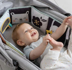 Taf Toys Koala Clip on Pram Baby Soft Book