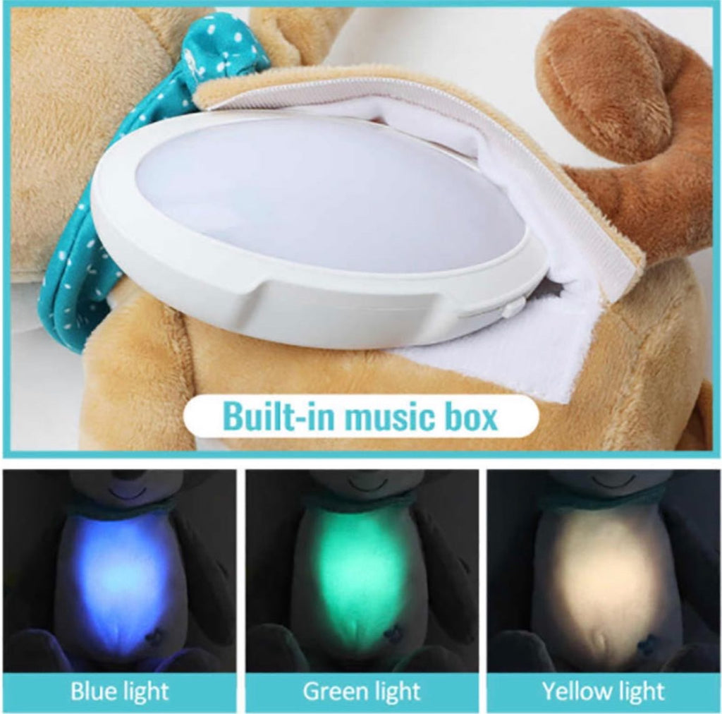 Little Learners 2 in 1 Soothing Cuddles & Night Light Bear