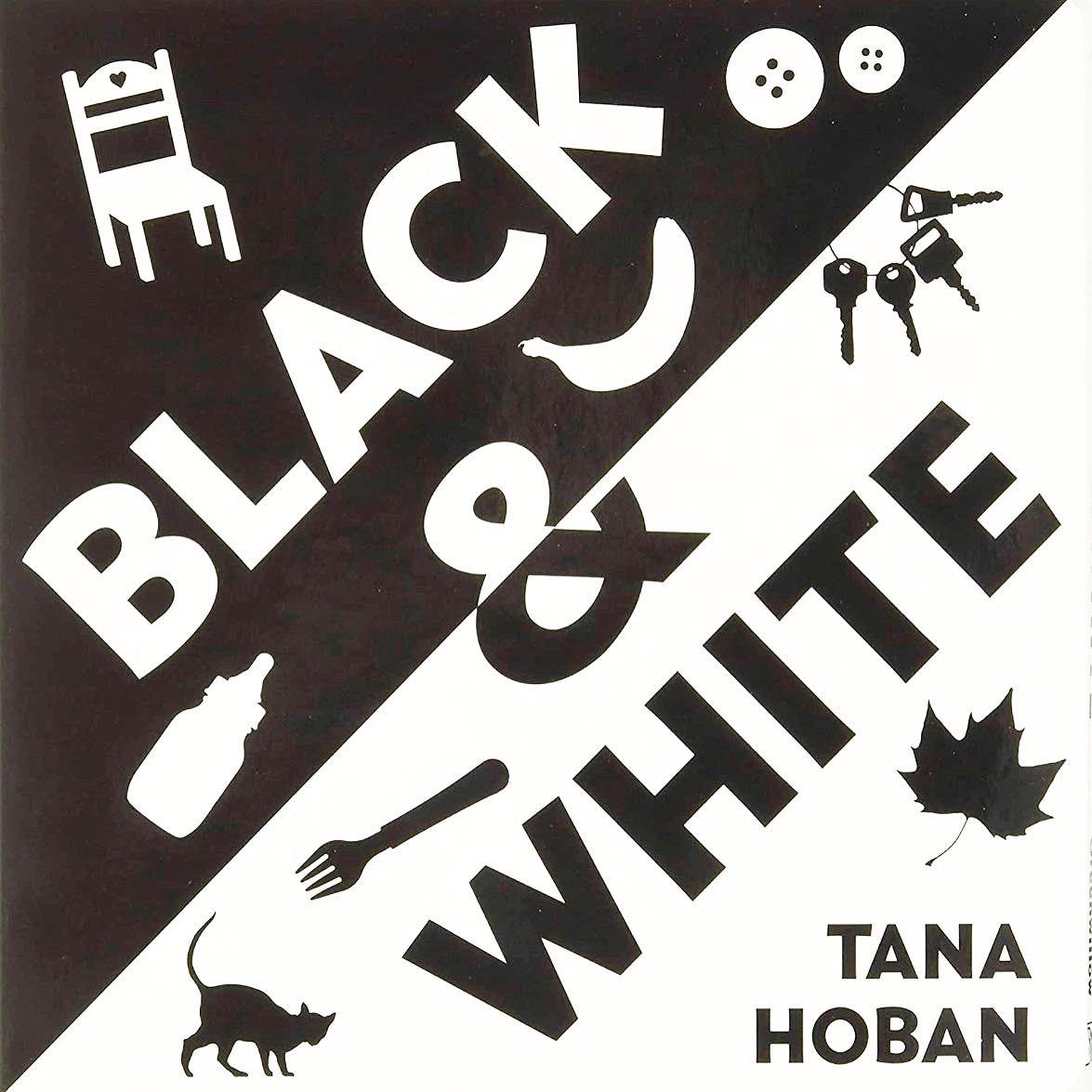 Black & White Accordion Foldout Book