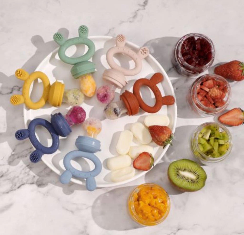 Haakaa Baby Fruit Food Feeder Pacifier Milk Frozen Set