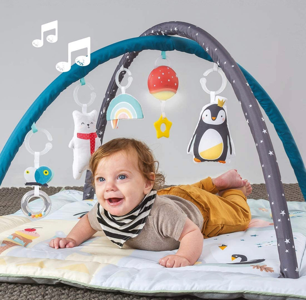 Taf Toys North Pole 4 Seasons Activity Gym