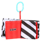 Sassy Black & White Peek a Boo Book